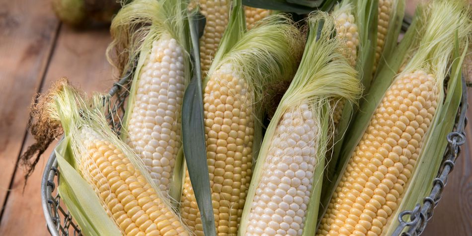 How to grow sweetcorn and best varieties