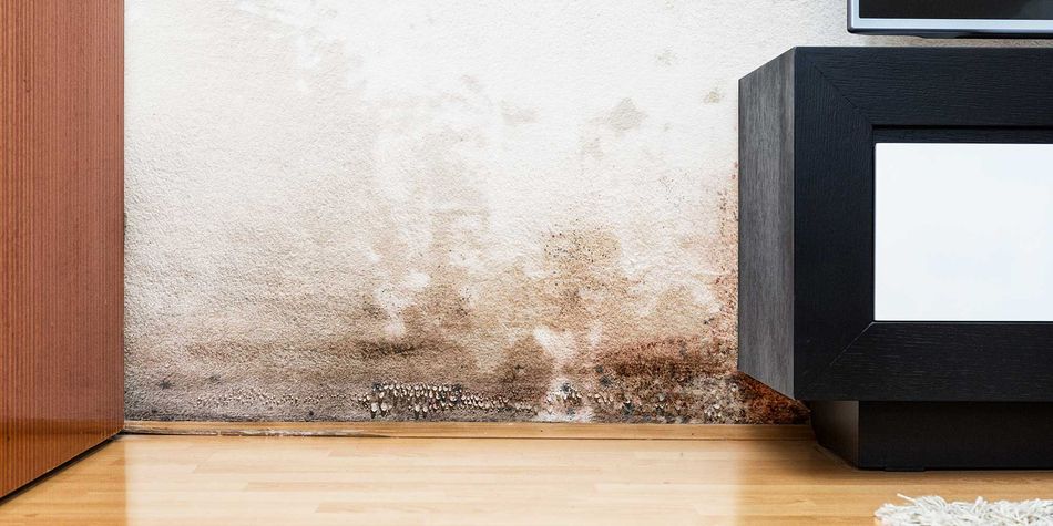 How to get rid of damp