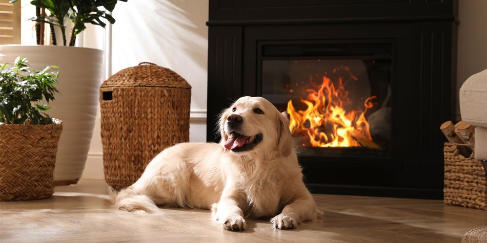 Complete guide to buying an electric fireplace