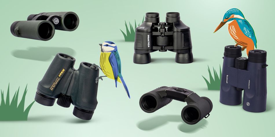 Best binoculars for bird watching, stargazing and more